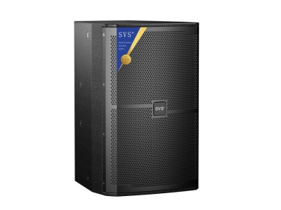 專業(yè)音箱E-15S